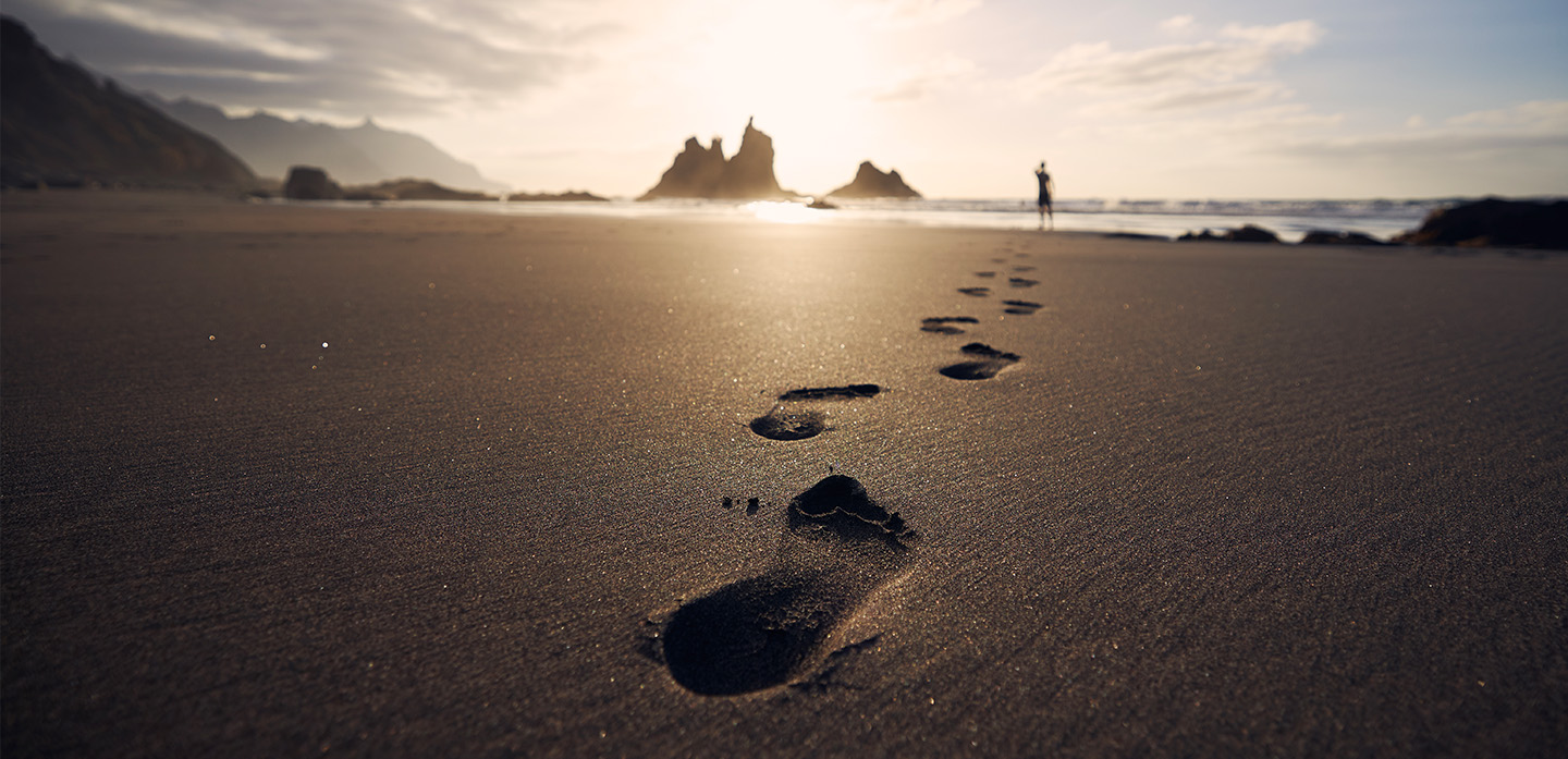 Neoto - Creative Studio Portfolio Template